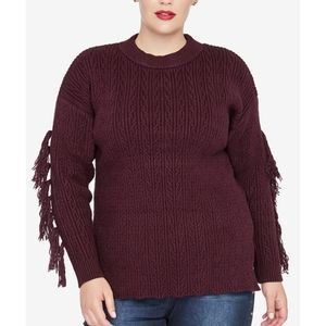 Racheal Roy trendy plus size tassel trim sweater